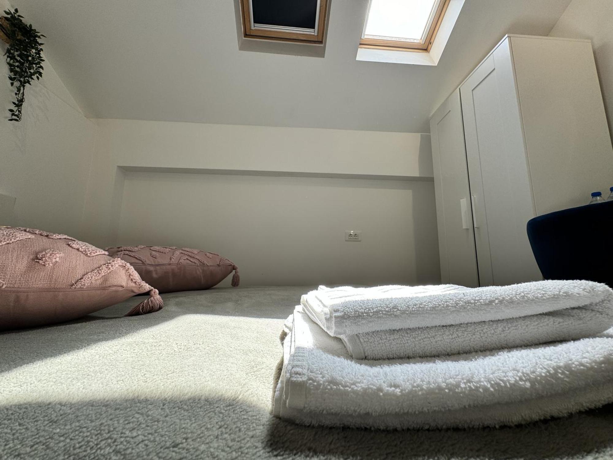 Palkin Cozy * Belgrado