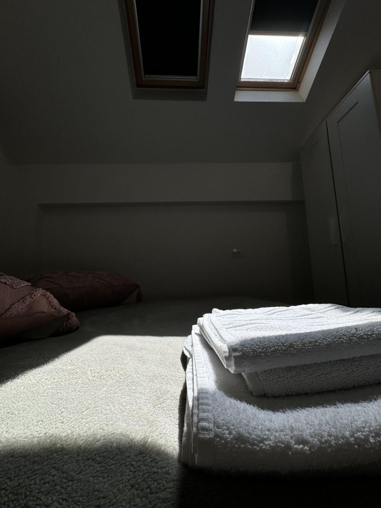 Palkin Cozy Apartment *